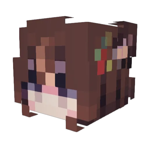 Longshen23 Minecraft avatar head, 3D render