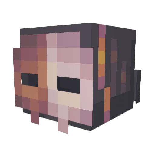Longstepper Minecraft avatar head, 3D render