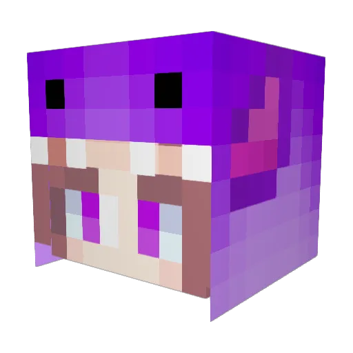 Longwey147 Minecraft avatar head, 3D render