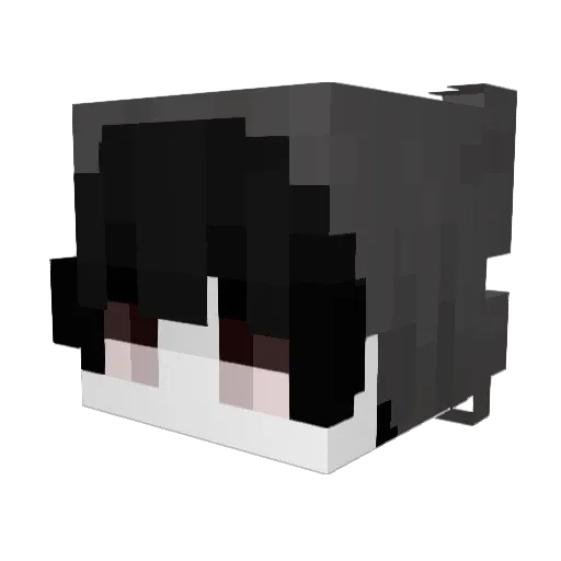 Lonicee Minecraft avatar head, 3D render