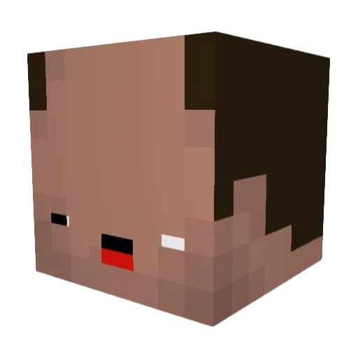 Lonky1998 Minecraft avatar head, 3D render