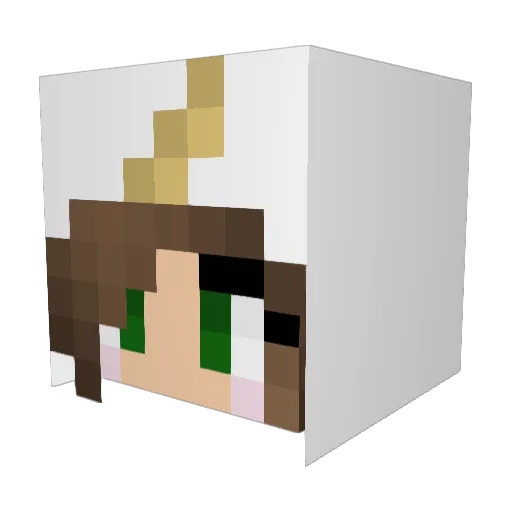 Loobug Minecraft avatar head, 3D render