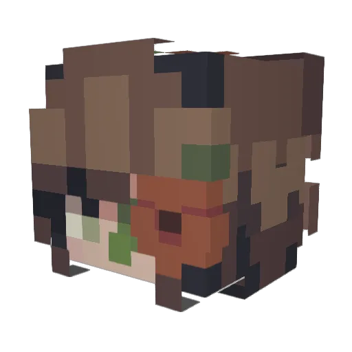 LookItsLilyYT Minecraft avatar head, 3D render