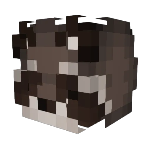 Loomling Minecraft avatar head, 3D render