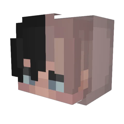 LoonBac21 Minecraft avatar head, 3D render