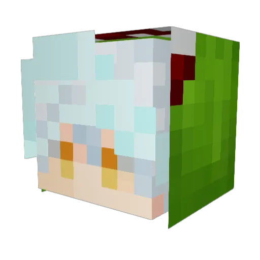 LoonDan Minecraft avatar head, 3D render