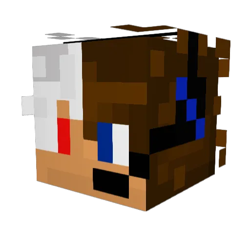 LooneyCalloomy Minecraft avatar head, 3D render