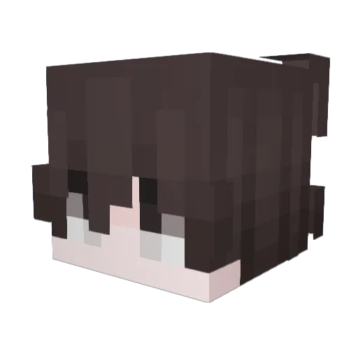 LooneyLoofah Minecraft avatar head, 3D render