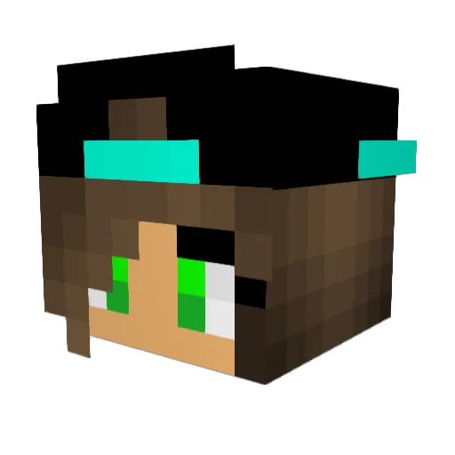 LooneyMocha10 Minecraft avatar head, 3D render