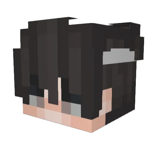 LooniestNewt88 Minecraft avatar head, 3D render
