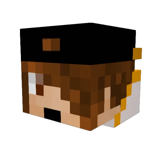 LoonyCoyote075 Minecraft avatar head, 3D render