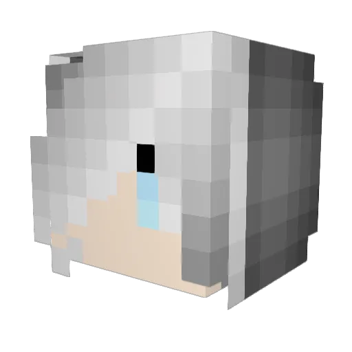 LoonyLunaDraws Minecraft avatar head, 3D render