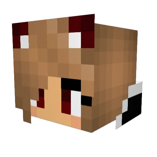 LoonyLurcher Minecraft avatar head, 3D render