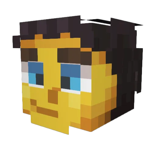 LoonyTieren Minecraft avatar head, 3D render