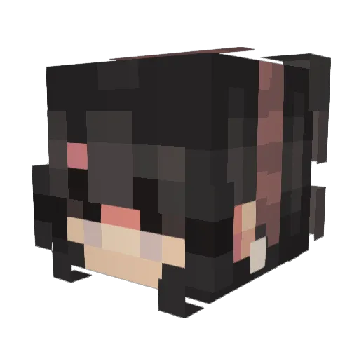 Loonygal Minecraft avatar head, 3D render