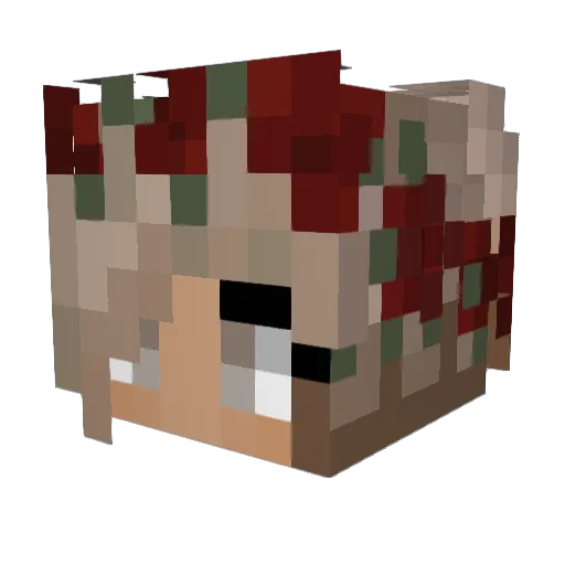 Loops_ Minecraft avatar head, 3D render