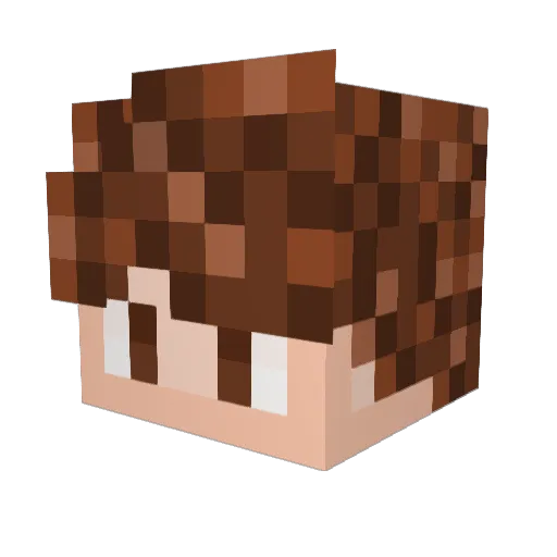 LoopyCC Minecraft avatar head, 3D render