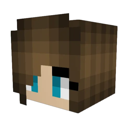 Loopy_Lord Minecraft avatar head, 3D render