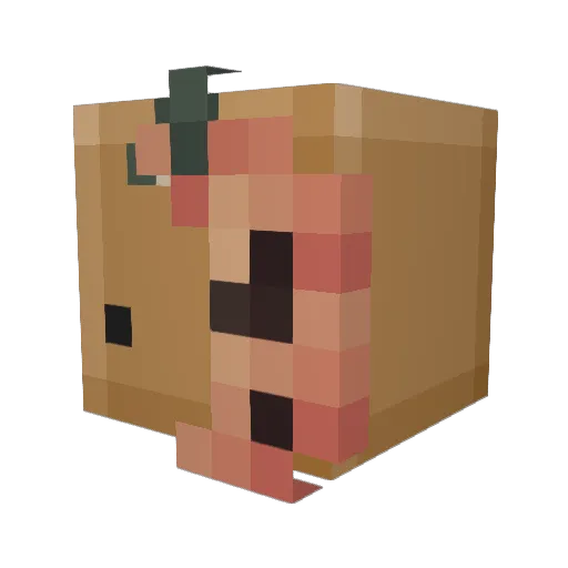LoopyyyGG Minecraft avatar head, 3D render