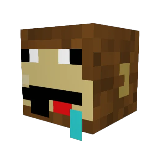 LooseMoose12 Minecraft avatar head, 3D render
