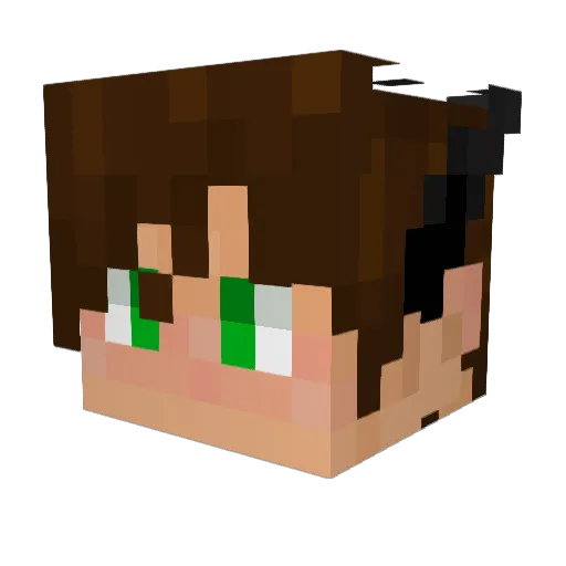 Loousir Minecraft avatar head, 3D render