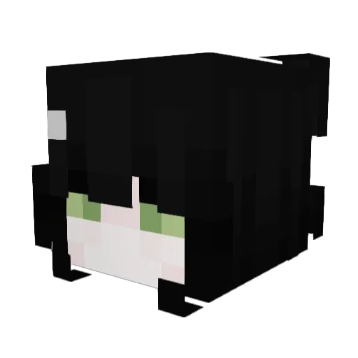 Lopeww Minecraft avatar head, 3D render