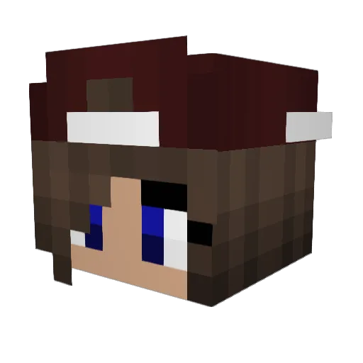 Loppepus Minecraft avatar head, 3D render