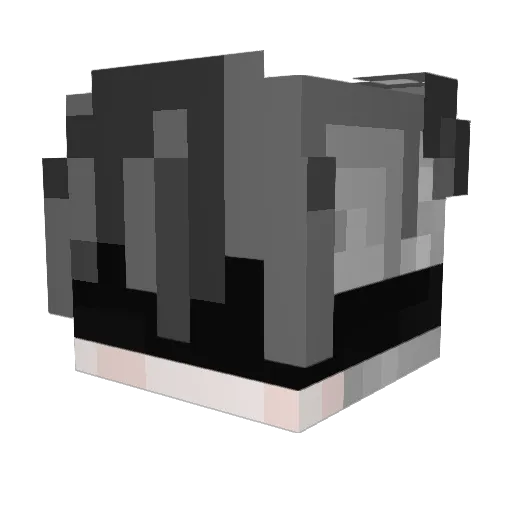 LopperCase Minecraft avatar head, 3D render