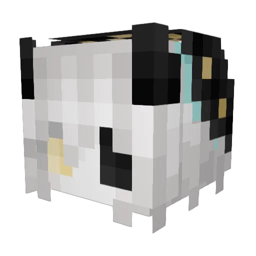 Lopy4433 Minecraft avatar head, 3D render