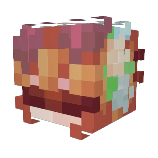 Lora2swag Minecraft avatar head, 3D render