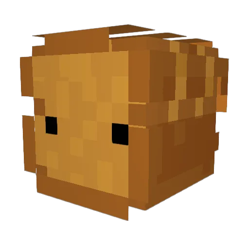 Loranger1 Minecraft avatar head, 3D render