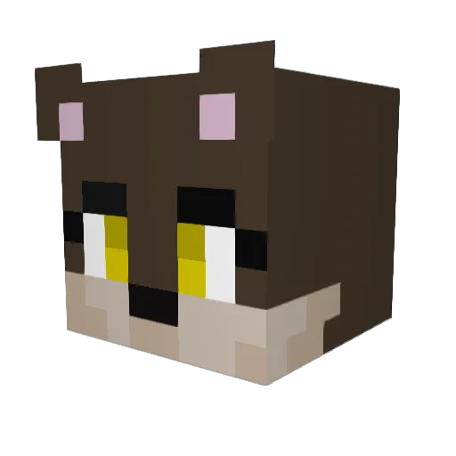 Lorcanfawks Minecraft avatar head, 3D render