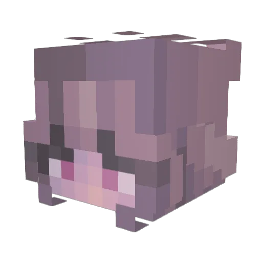 Lorch2014 Minecraft avatar head, 3D render