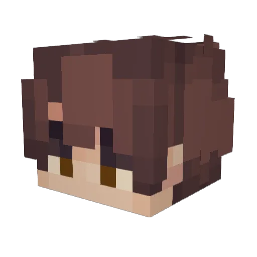 Lord0fTheDance Minecraft avatar head, 3D render