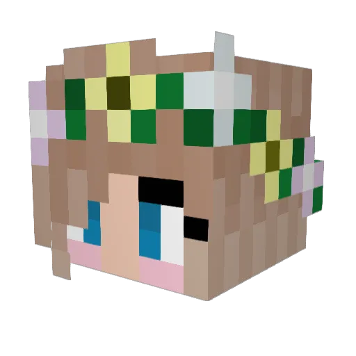 LordAstik Minecraft avatar head, 3D render