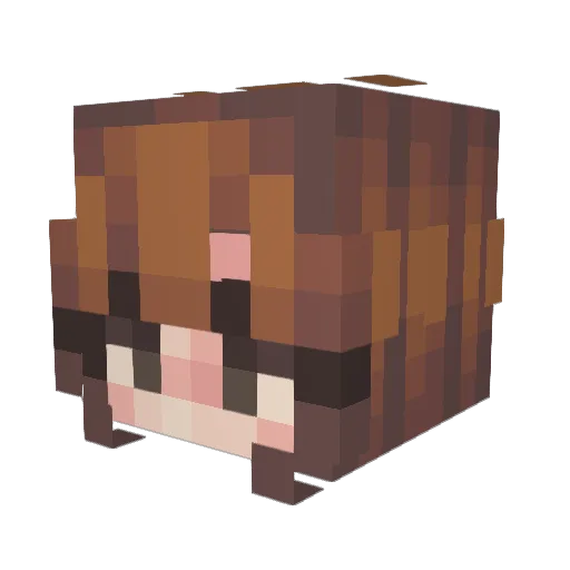 LordAwkward Minecraft avatar head, 3D render