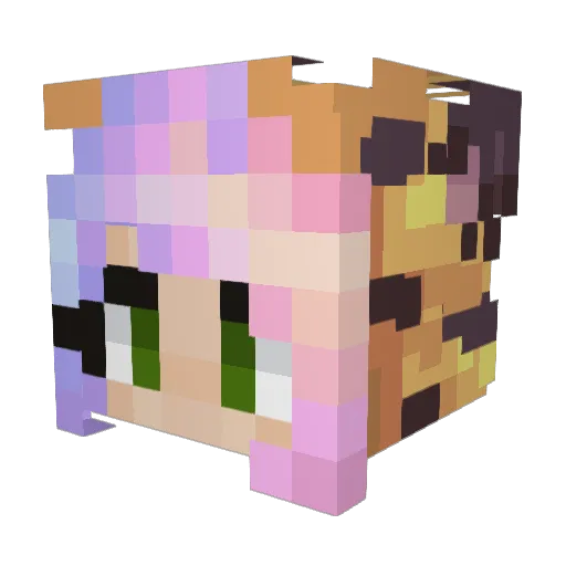 LordBaoneer Minecraft avatar head, 3D render