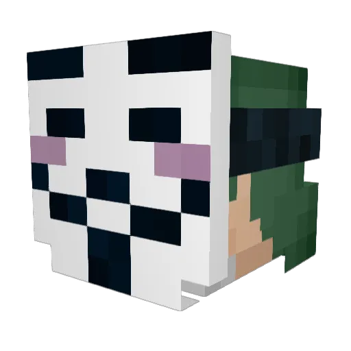 LordBoog69 Minecraft avatar head, 3D render