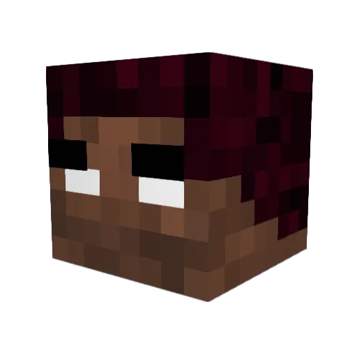 LordCheeks_ Minecraft avatar head, 3D render