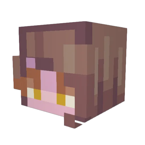 LordCheeseball Minecraft avatar head, 3D render