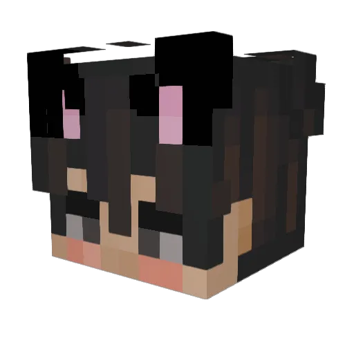 LordDodo1 Minecraft avatar head, 3D render