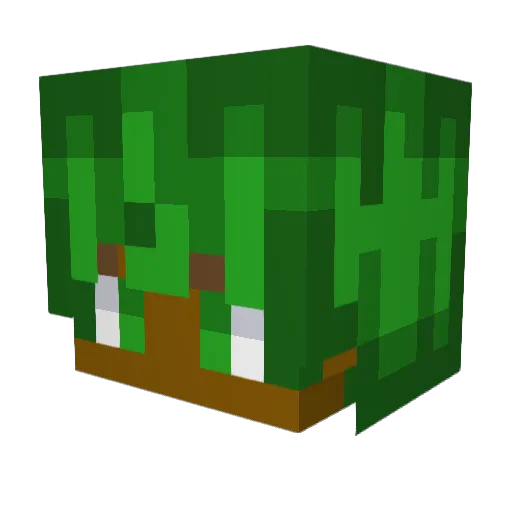 LordDominator10 Minecraft avatar head, 3D render
