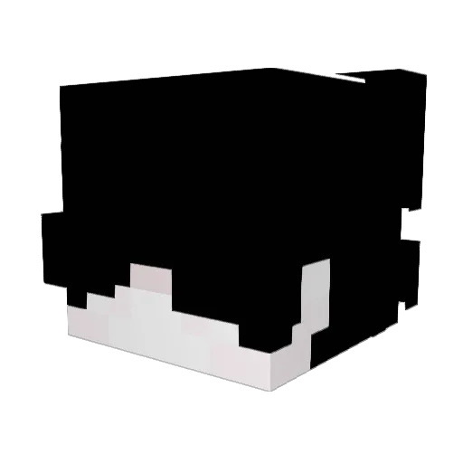 LordEPN Minecraft avatar head, 3D render