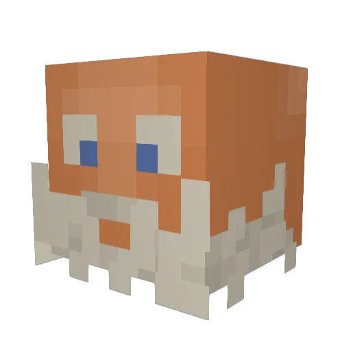 LordFatKid Minecraft avatar head, 3D render
