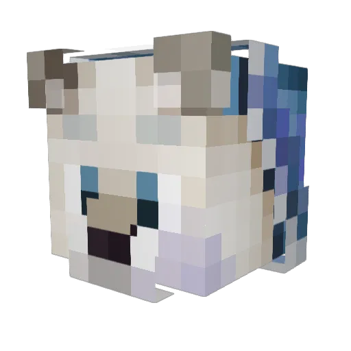 LordFinn Minecraft avatar head, 3D render