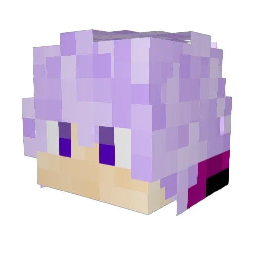 LordFj228 Minecraft avatar head, 3D render