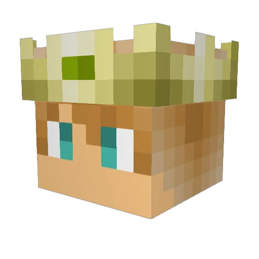 LordGriswald Minecraft avatar head, 3D render