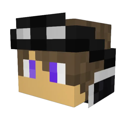 LordHashtag Minecraft avatar head, 3D render