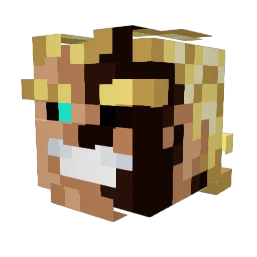 LordHusky Minecraft avatar head, 3D render