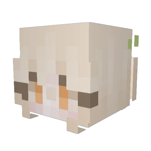 LordIrratikor Minecraft avatar head, 3D render